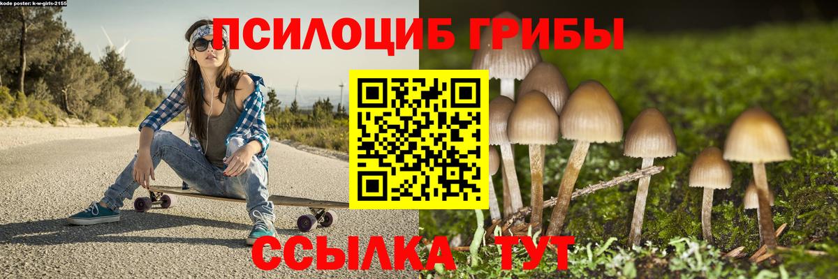 Гатчина  Галлюциногенные грибы Psilocybe  закладки  Вход с VPN 